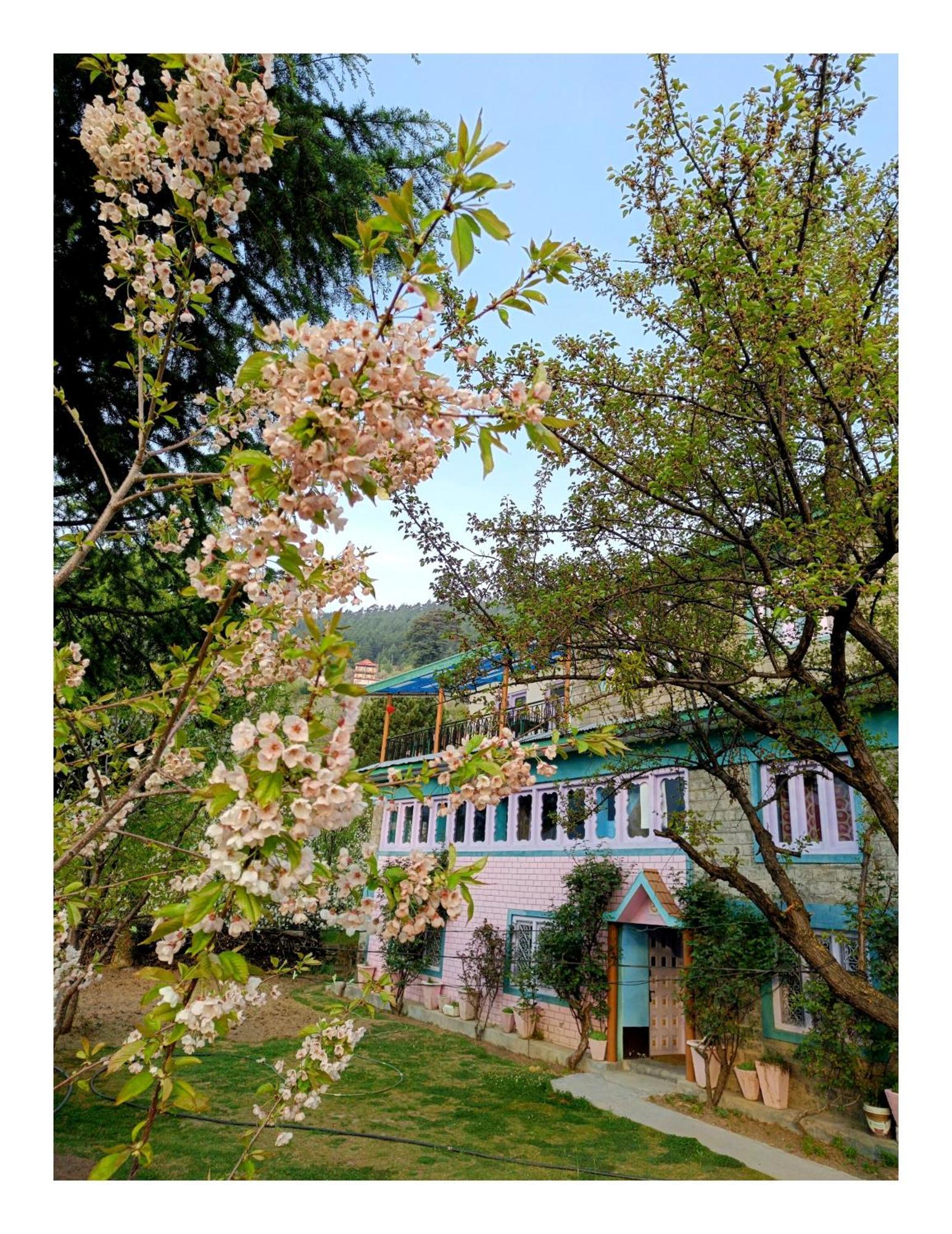 Farmvilla Homestay Kalpa Extérieur photo